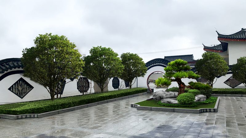 反季节苗木种植，如何确保成活率？**