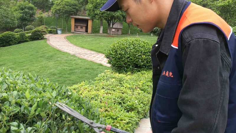 学校绿化工程分包价格行情