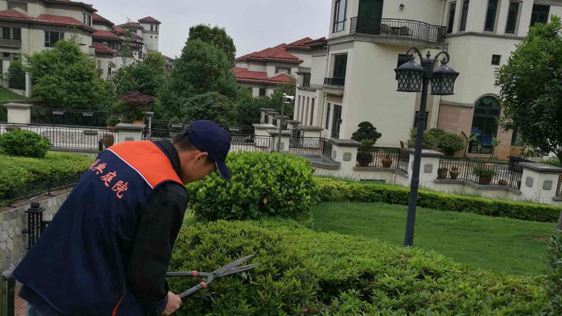 屋顶绿化种植基质安装步骤全解析**