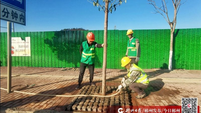 成都屋顶绿化施工团队哪家靠谱