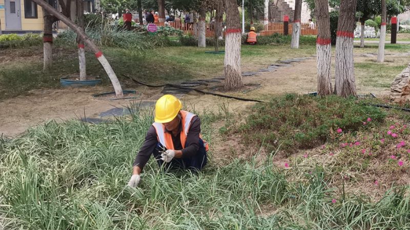 小区立体绿化改造，一平米到底该花多少钱