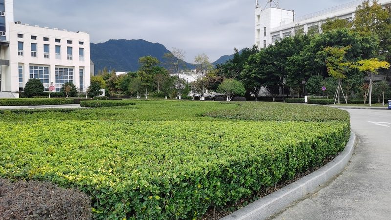 公园景观设计施工一体化报价：揭秘一体化优势与考量因素