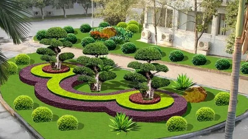 苗木种植技术视频教程：掌握关键步骤，提升成活率**